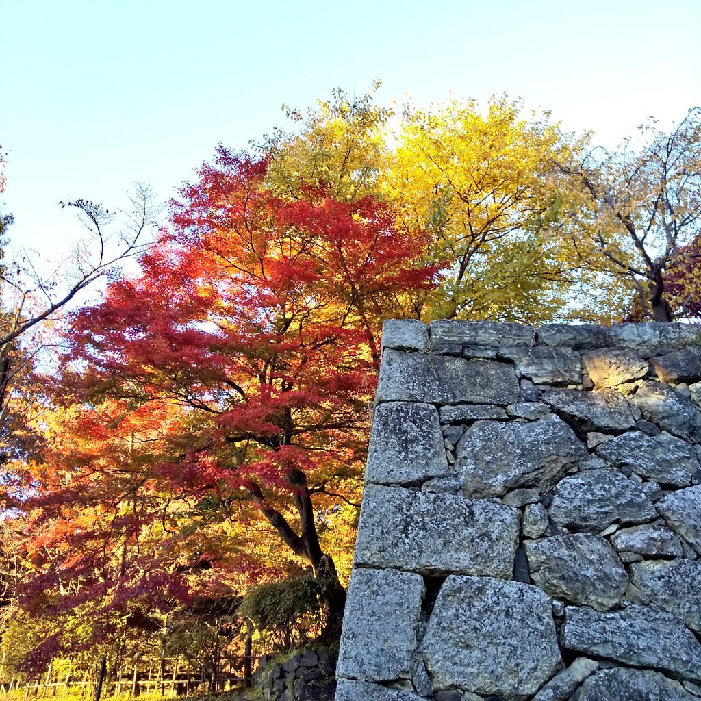 上田城　紅葉